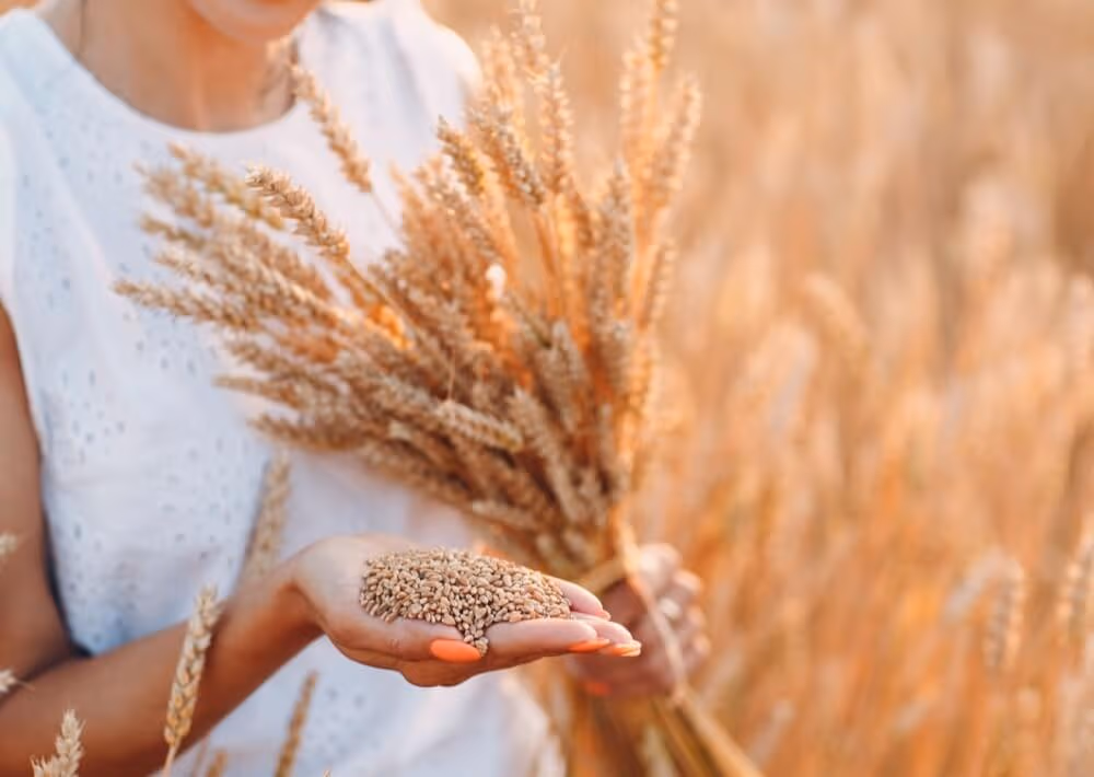 Coeliac Disease