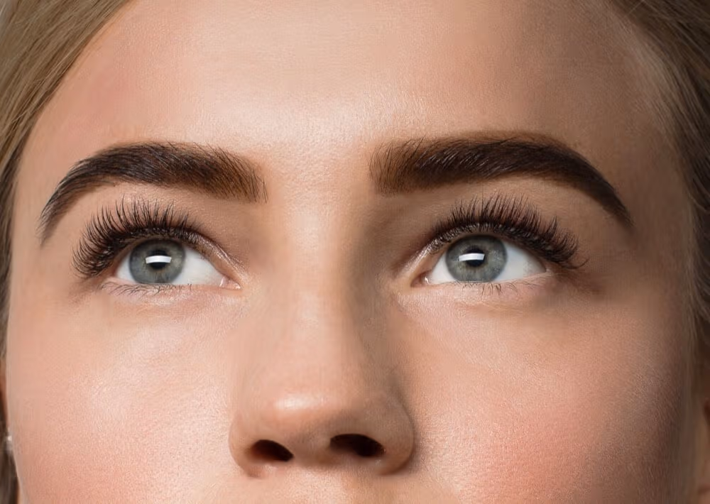 Lash Artistry