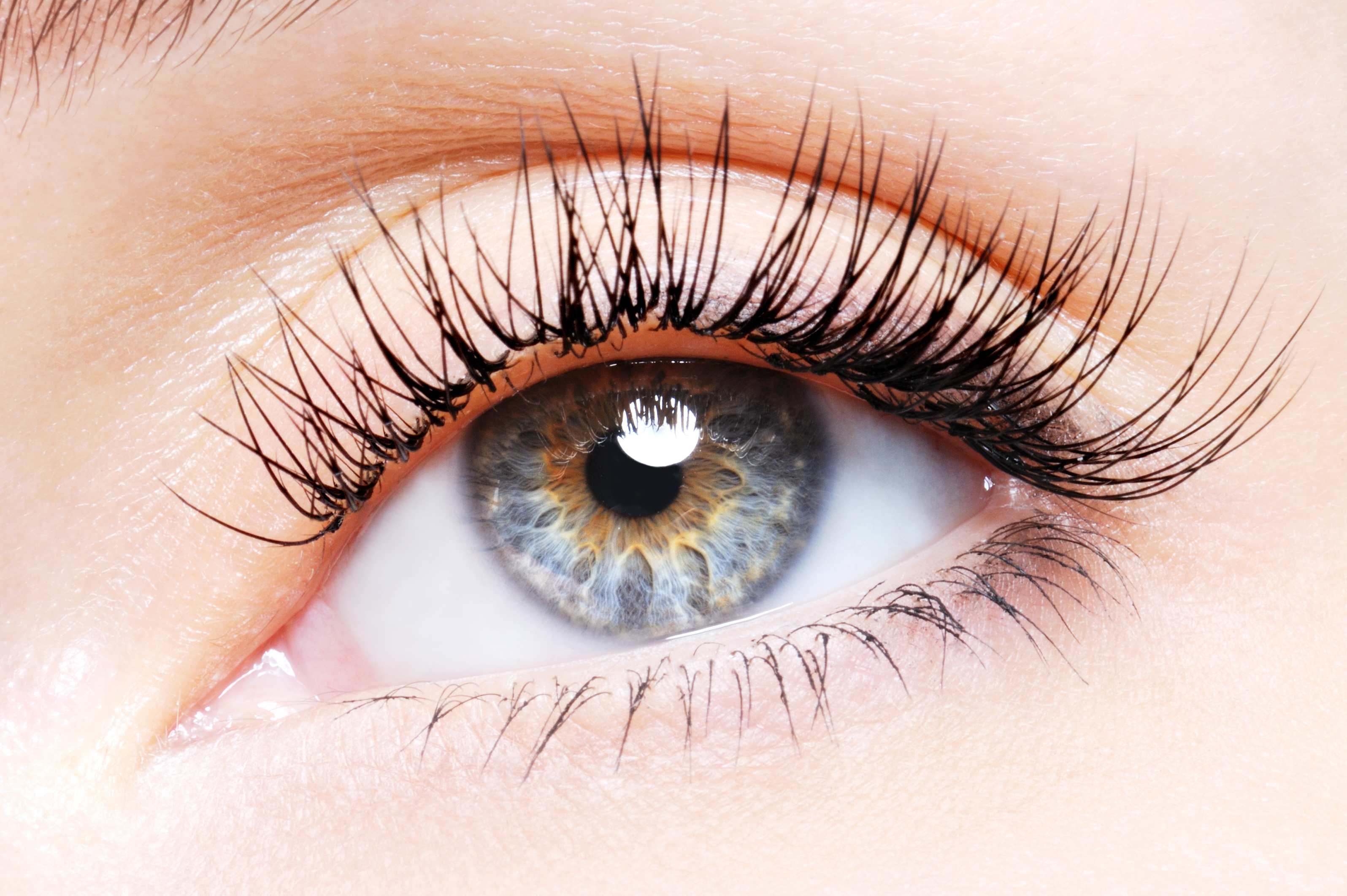 The Brow Sculpt 5
