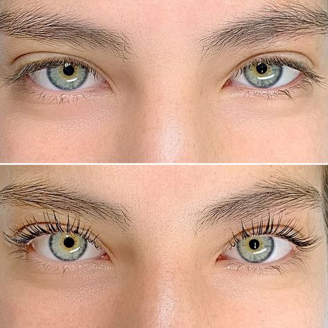 The Brow Sculpt 2